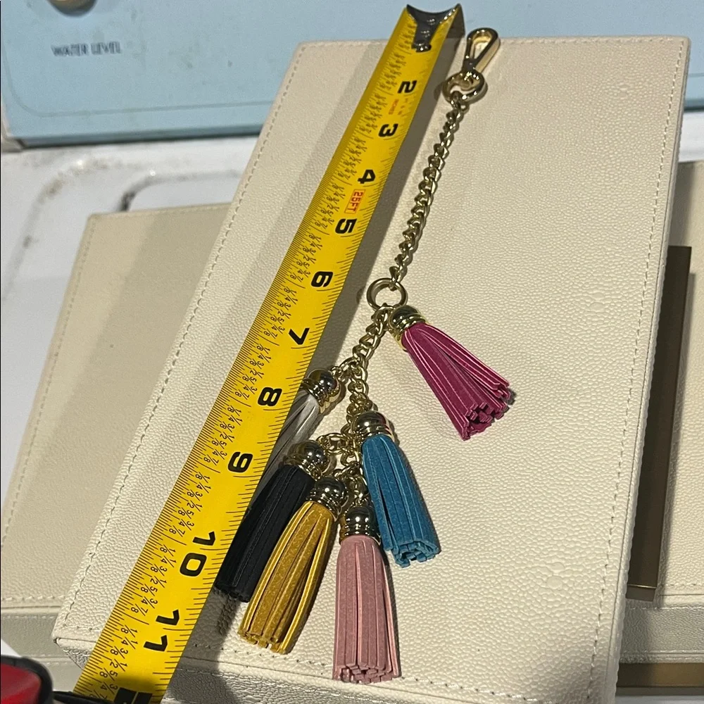 Keychain purse chain purse charm Multicolor Tassel Keychain